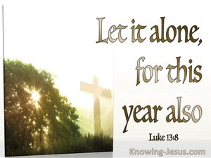 Luke 13:8